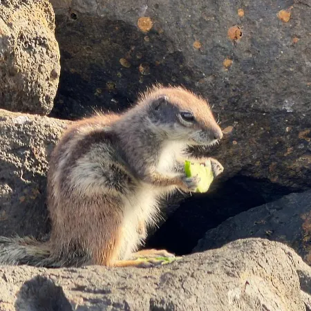 Sol Escape Coastal Retreat *