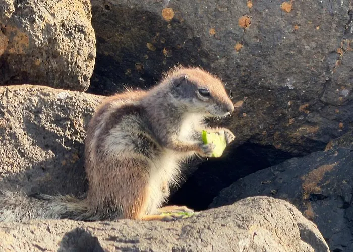 Sol Escape Coastal Retreat *